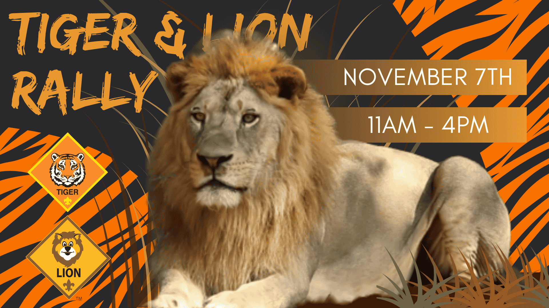 Tiger & Lion Rally - 2026