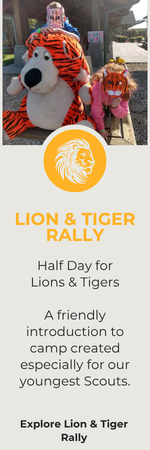 CAC Homepage Lion Tiger Rally