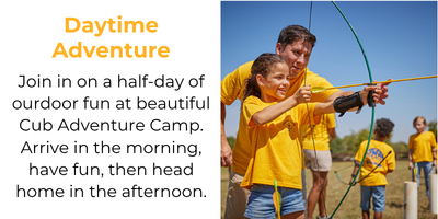 Lion and Tiger Rally Daytime Adventure
