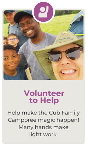 Spring Camporee Volunteer