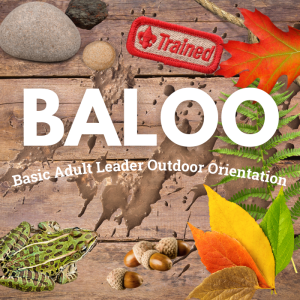 BALOO Training